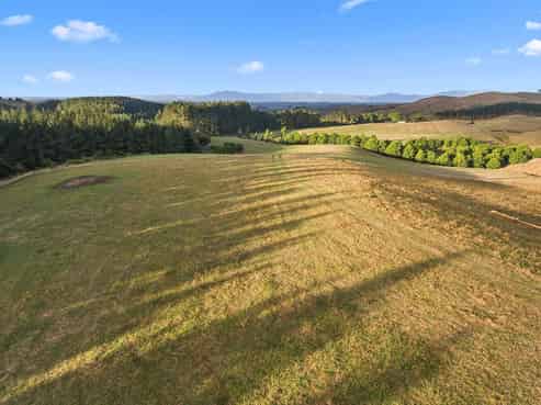 Lot 1/699 Waterworks Road, Morrinsville