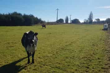  Owaka Highway, Balclutha