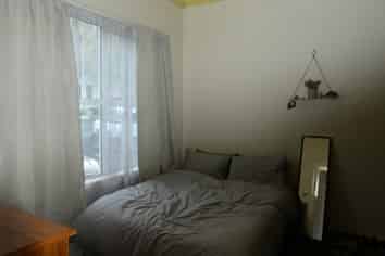 247 Castle Street, Dunedin Central