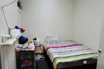 247 Castle Street, Dunedin Central