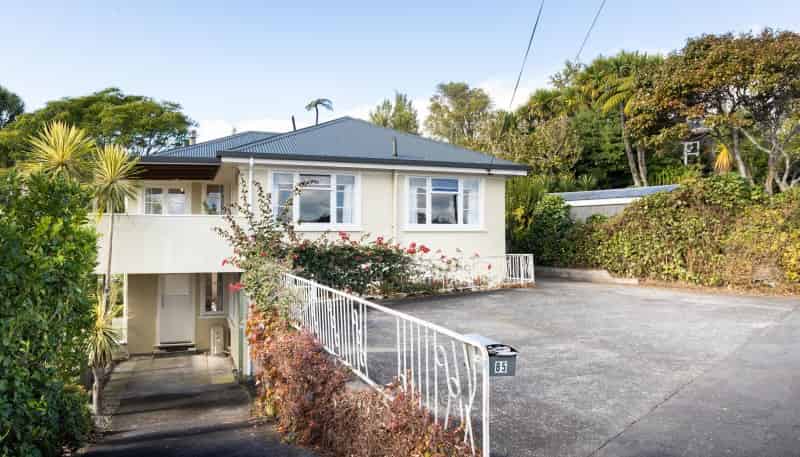 85 Mill Road, Vogeltown