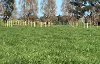 220 Ohanga Road, Onaero