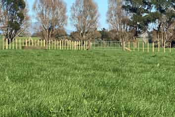 220 Ohanga Road, Onaero