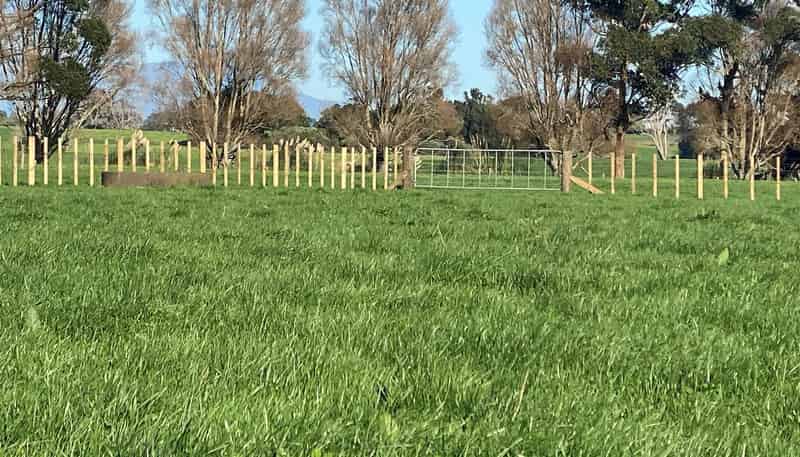 220 Ohanga Road, Onaero