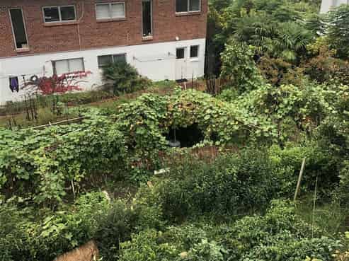 4 The Promenade, Takapuna