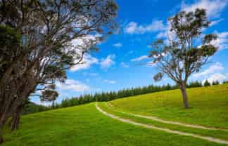 1089 Run Road, Wellsford