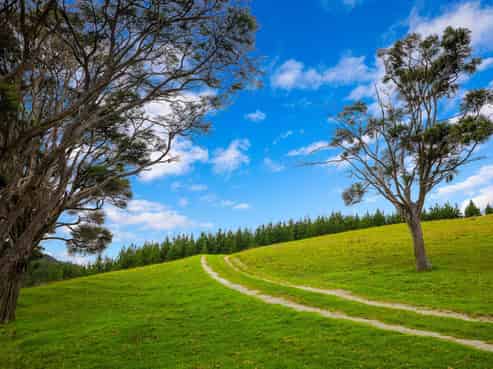 1089 Run Road, Wellsford