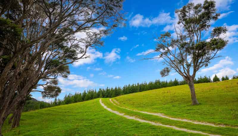 1089 Run Road, Wellsford