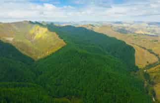  Pine Farm 35, Ormond