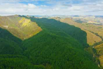  Pine Farm 35, Ormond