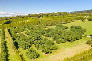 Lot 1 Stone Wall Rise, Maungatapere