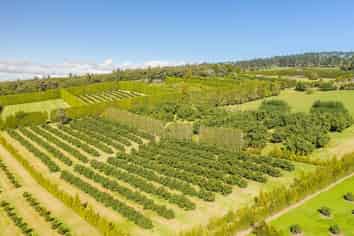 Lot 1 Stone Wall Rise, Maungatapere