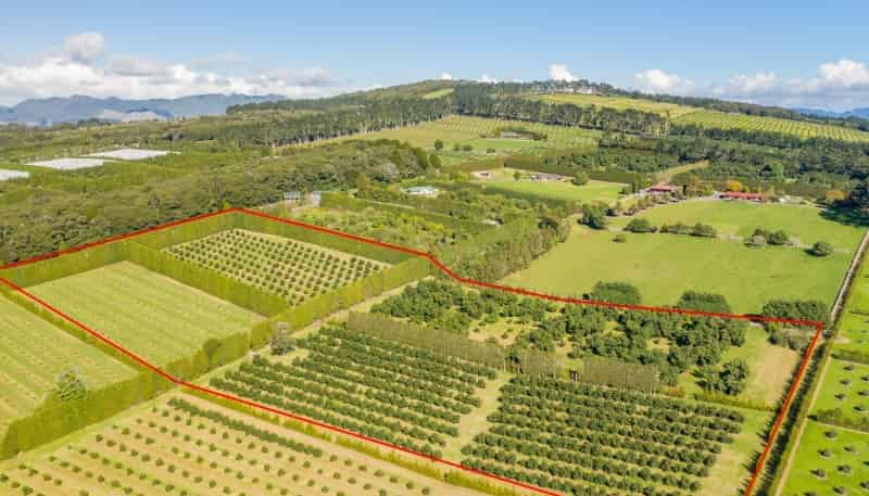 Lot 1 Stone Wall Rise, Maungatapere