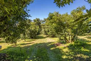 Lot 1 Stone Wall Rise, Maungatapere