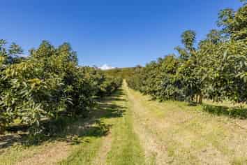 Lot 1 Stone Wall Rise, Maungatapere
