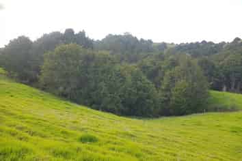 200 Central Road, Mareretu