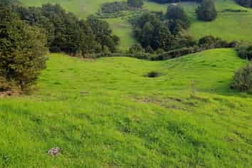 200 Central Road, Mareretu