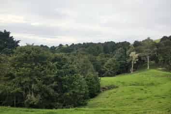 200 Central Road, Mareretu