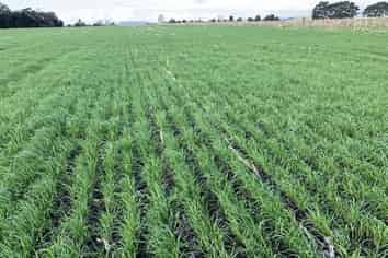 1205 Devon Road, Bell Block