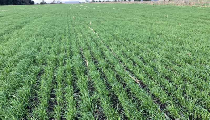 1205 Devon Road, Bell Block