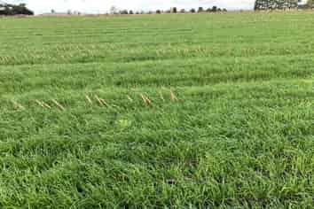 1205 Devon Road, Bell Block