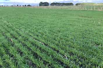 1205 Devon Road, Bell Block