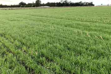 1205 Devon Road, Bell Block