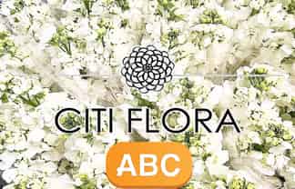 High Quality Flower Shop in the CBD
