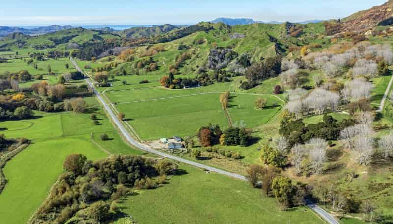 899 Tauwhareparae Road, 