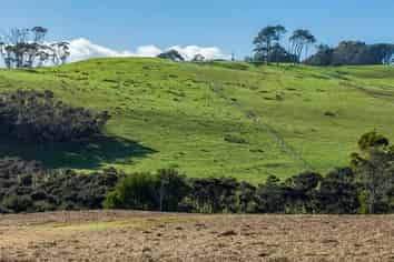 12 Amelie Place, Coopers Beach