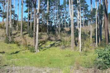 Proposed L Te Tio Road, Kaikohe Surrounds