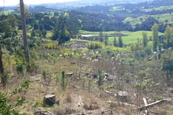 Proposed L Te Tio Road, Kaikohe Surrounds