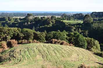 118 Kaitawa Rd, Te Horo