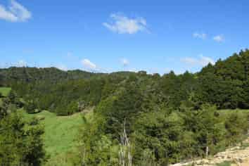 477 Pupuke Mangapa Road, Kaeo