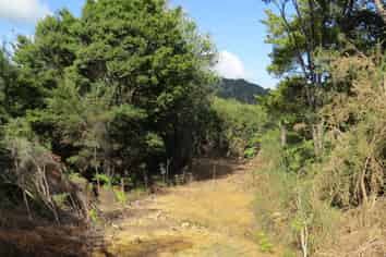 477 Pupuke Mangapa Road, Kaeo