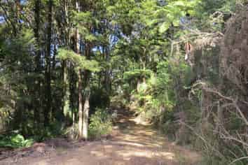 477 Pupuke Mangapa Road, Kaeo