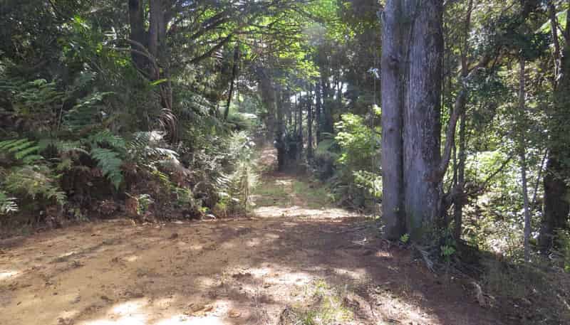 477 Pupuke Mangapa Road, Kaeo