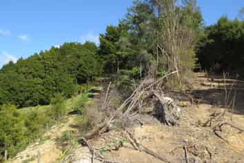 477 Pupuke Mangapa Road, Kaeo