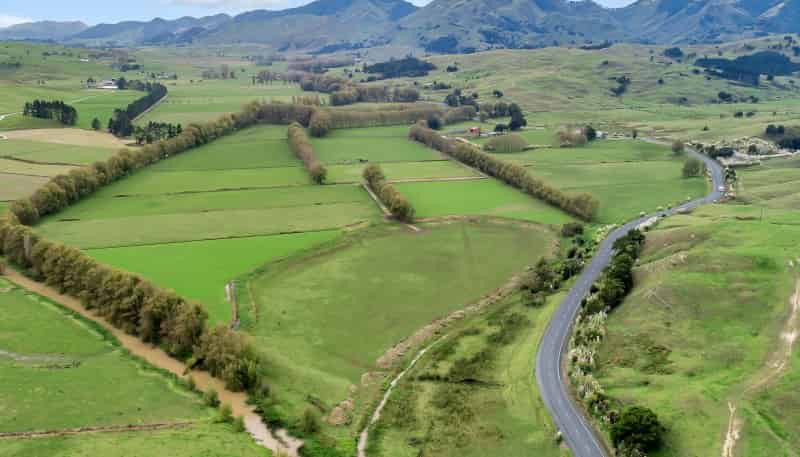 163 Tangowahine Valley Road, 