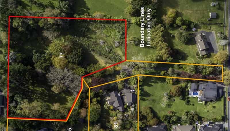 77 Gracechurch Drive, Flat Bush