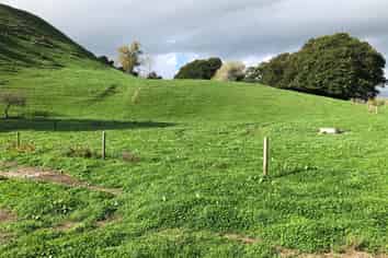  Tapapa West Rd, Tirau