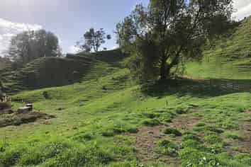  Tapapa West Rd, Tirau