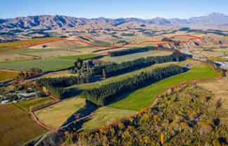  New Sauvignon Blanc Vineyard For Lease