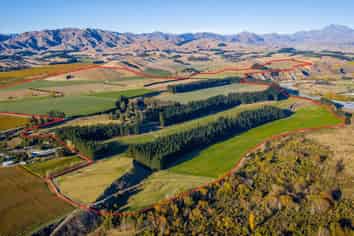  New Sauvignon Blanc Vineyard For Lease