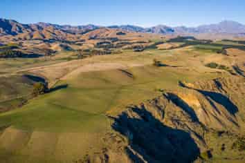  New Sauvignon Blanc Vineyard For Lease