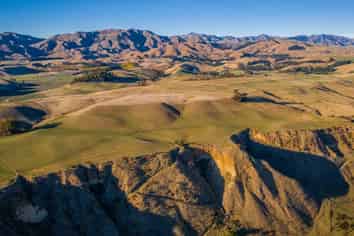  New Sauvignon Blanc Vineyard For Lease