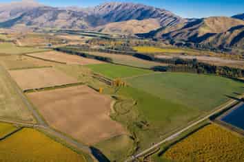  New Sauvignon Blanc Vineyard For Lease