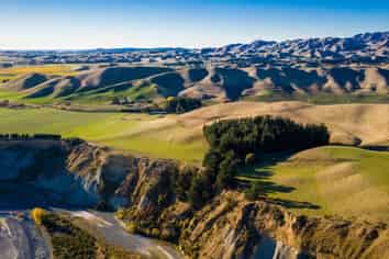  New Sauvignon Blanc Vineyard For Lease