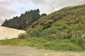 Industrial land Pararparaumu