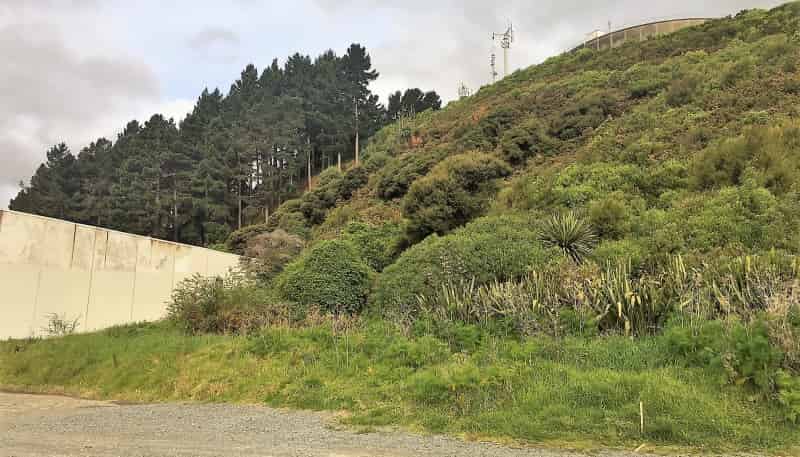 37-39 Epiha Street, Paraparaumu